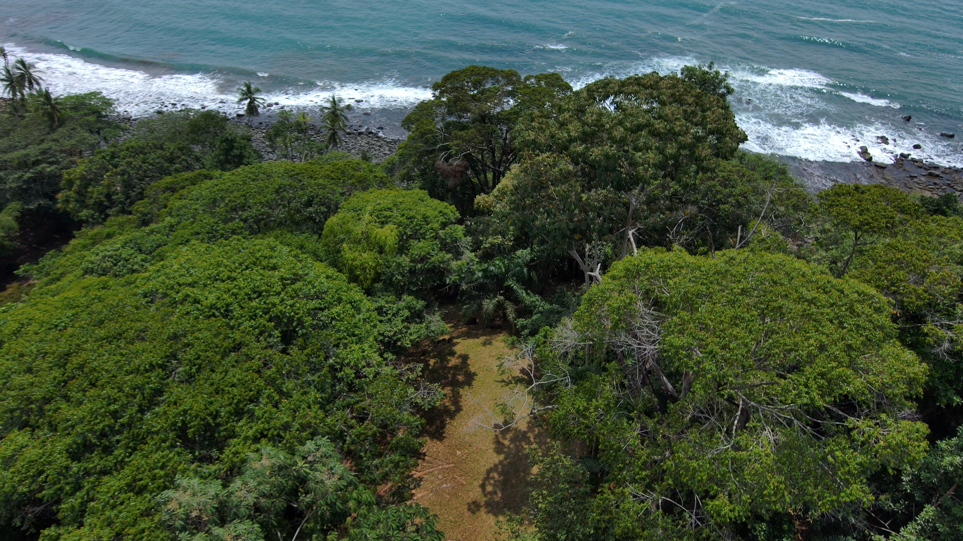 Active filings — Maritime Zone Concession renewal