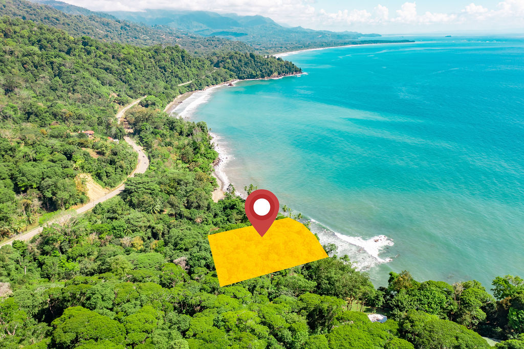 Panoramic view to the north — Bahía Ballena in the background.